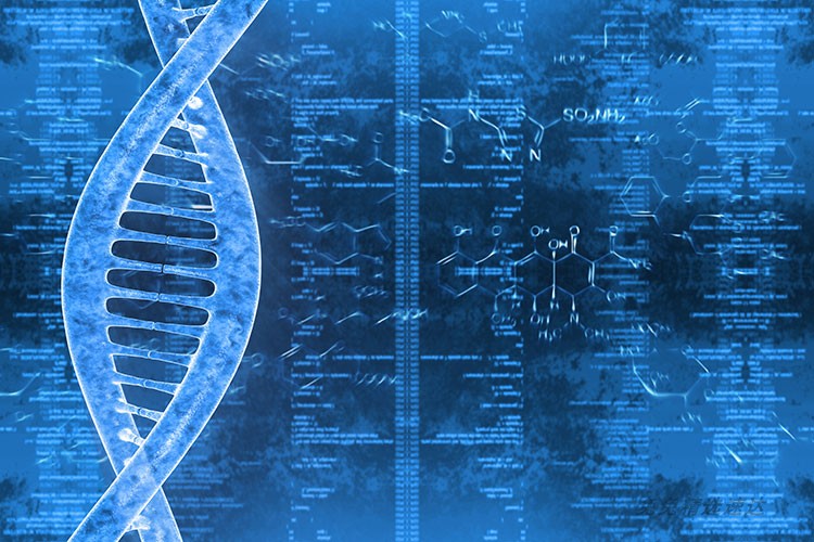 超大超高清图片DNA基因链生物科学细胞基因组合排列设计美工素材 第14张