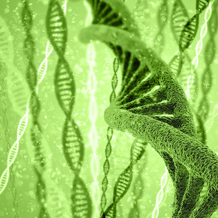 超大超高清图片DNA基因链生物科学细胞基因组合排列设计美工素材 第18张