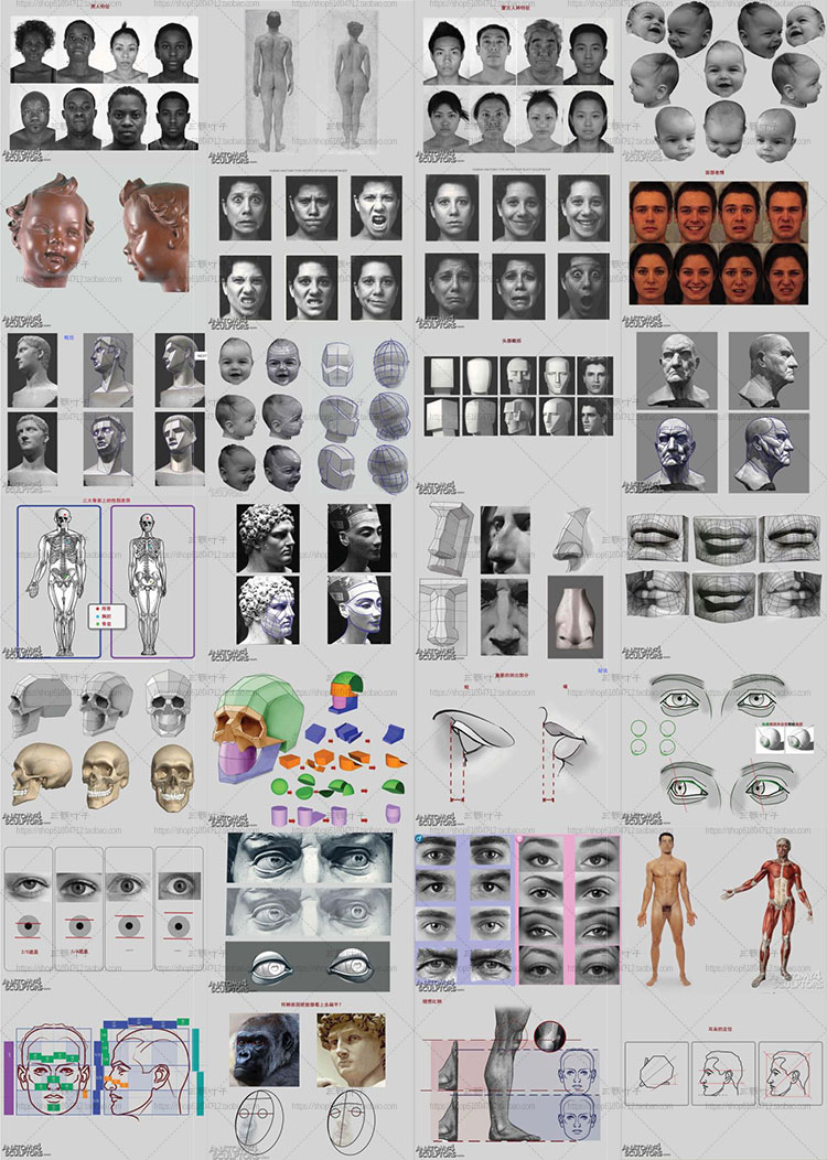 人体肌肉骨骼结构图集 6400张 线稿素描速写 CG设定参考素材 第16张