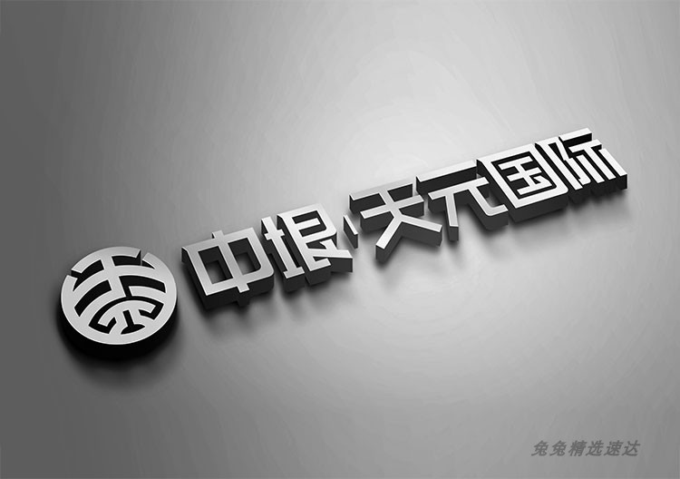 公司企业VI品牌LOGO全套手册毕业作品作业AI/PSD/CDR设计模板素材 第26张