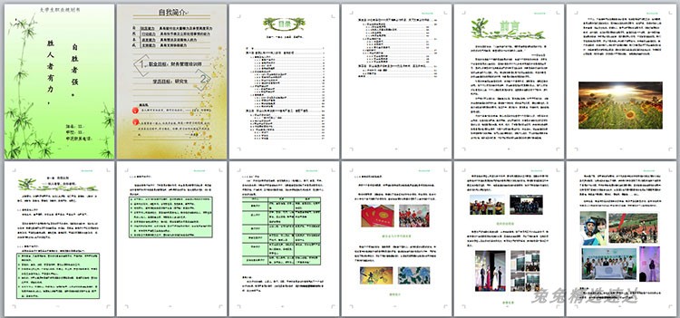 大学生职业生涯规划书Word模板范文就业求职应聘工作计划发展PPT 第15张