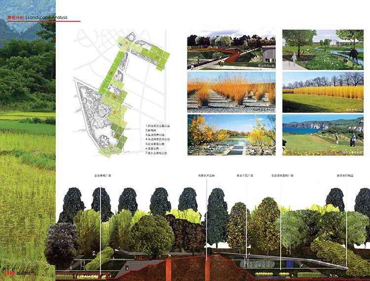 园林景观设计合集城市规划建筑分析画法技巧参考图 分析排版图 第8张