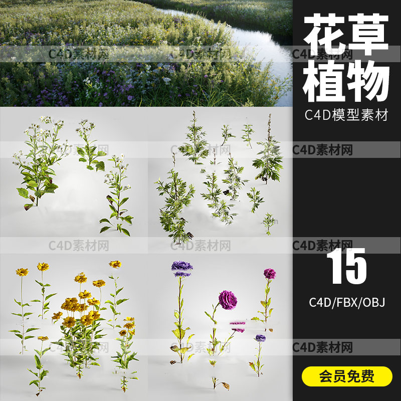 15组户外野外景观长茎花草植物绿植C4D模型3D场景渲染素材A1540图片