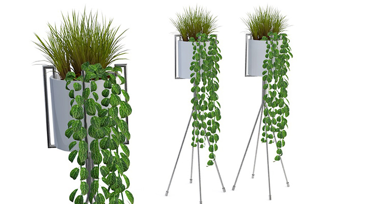 12款室内装饰植物芦荟多肉金桔C4D模型创意场景3D模型素材A333 第1张