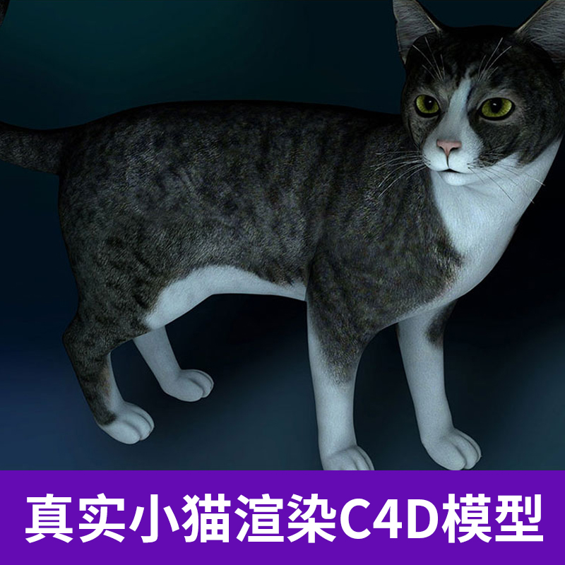 C4D模型陆生动物宠物小花猫材质纹理贴图渲染场景3D三维素材3240 第1张