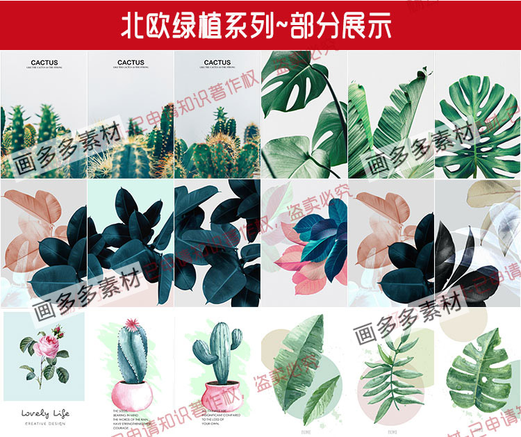 简约水彩手绘插画绿色小清新植物仙人掌装饰画高清芯JPG图片素材 第2张