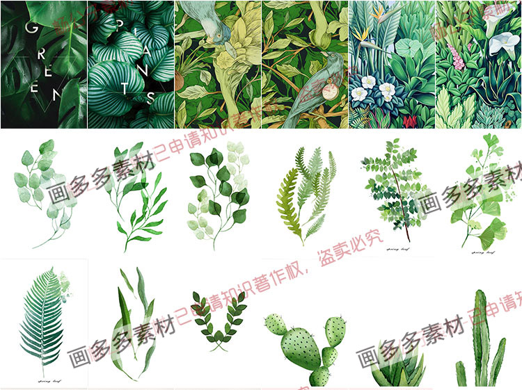 简约水彩手绘插画绿色小清新植物仙人掌装饰画高清芯JPG图片素材 第4张