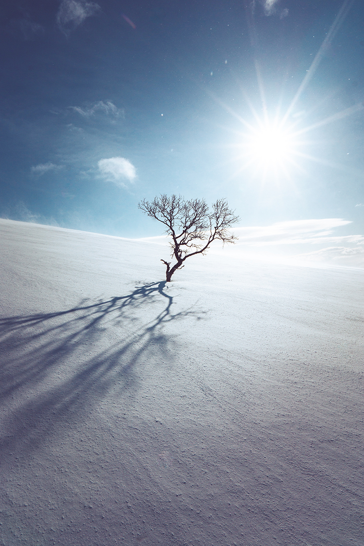 现代简约风景摄影画雪山山峰雪景黑白玄关装饰画画芯图库高清素材 第16张