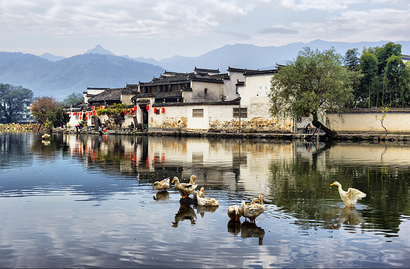 新中式江南水乡山村古镇风景仿古建筑民宿酒店装饰画高清素材图库 第13张