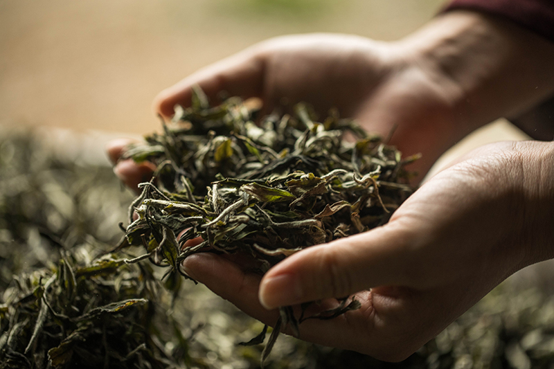 中式茶馆茶楼品茶泡茶茶文化茶具挂画海报装饰画高清电子素材图库 第25张