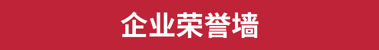 企业文化墙大厅走廊办公室公司集团形象墙背景模板源文件设计素材 第13张